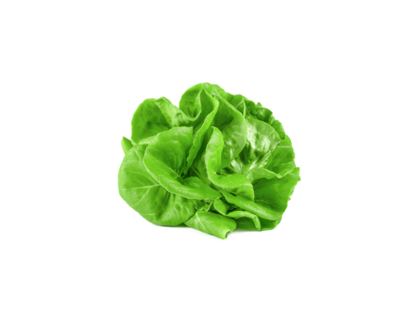 Salata-puterica