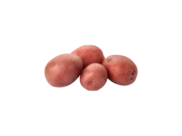 Krompir crveni